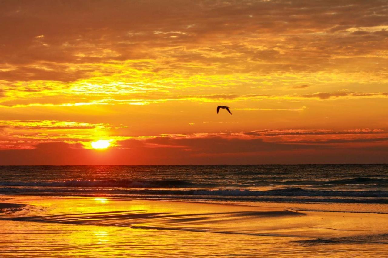 Shores Of Panama Resort Panama City Beach